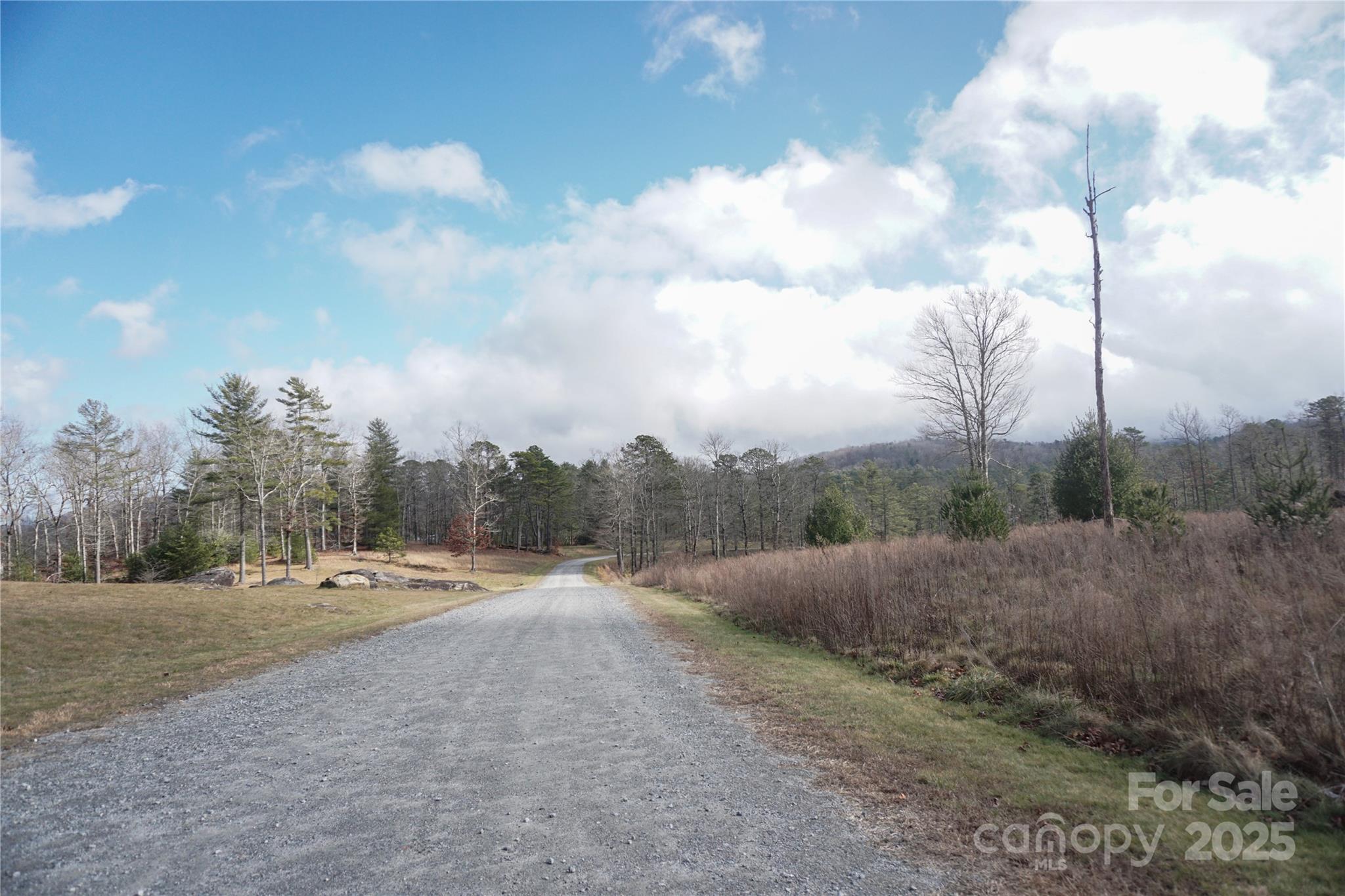 99999 Boulder Crossing Property Photo 23