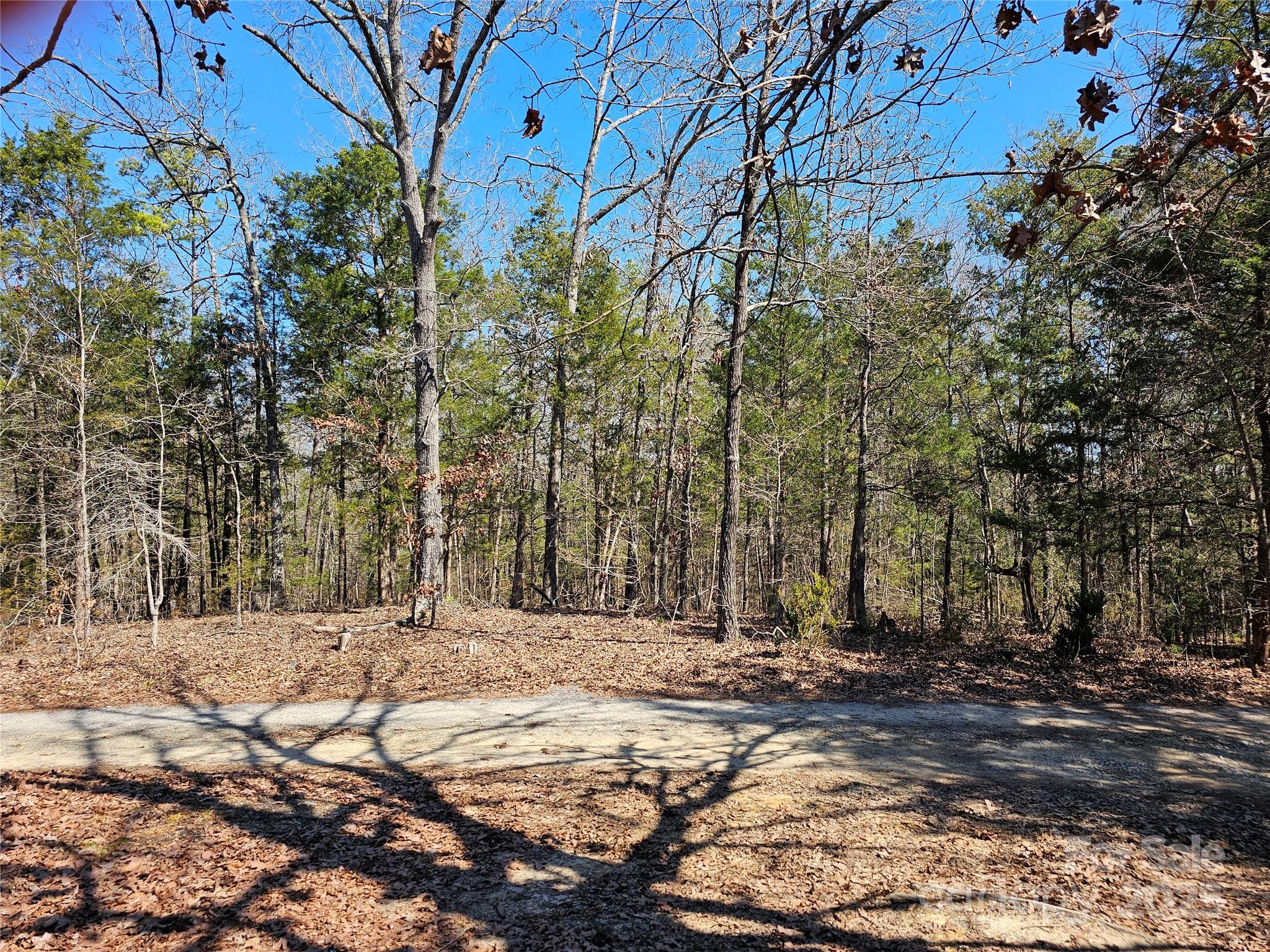 2247 Old Richburg Road Property Photo 23