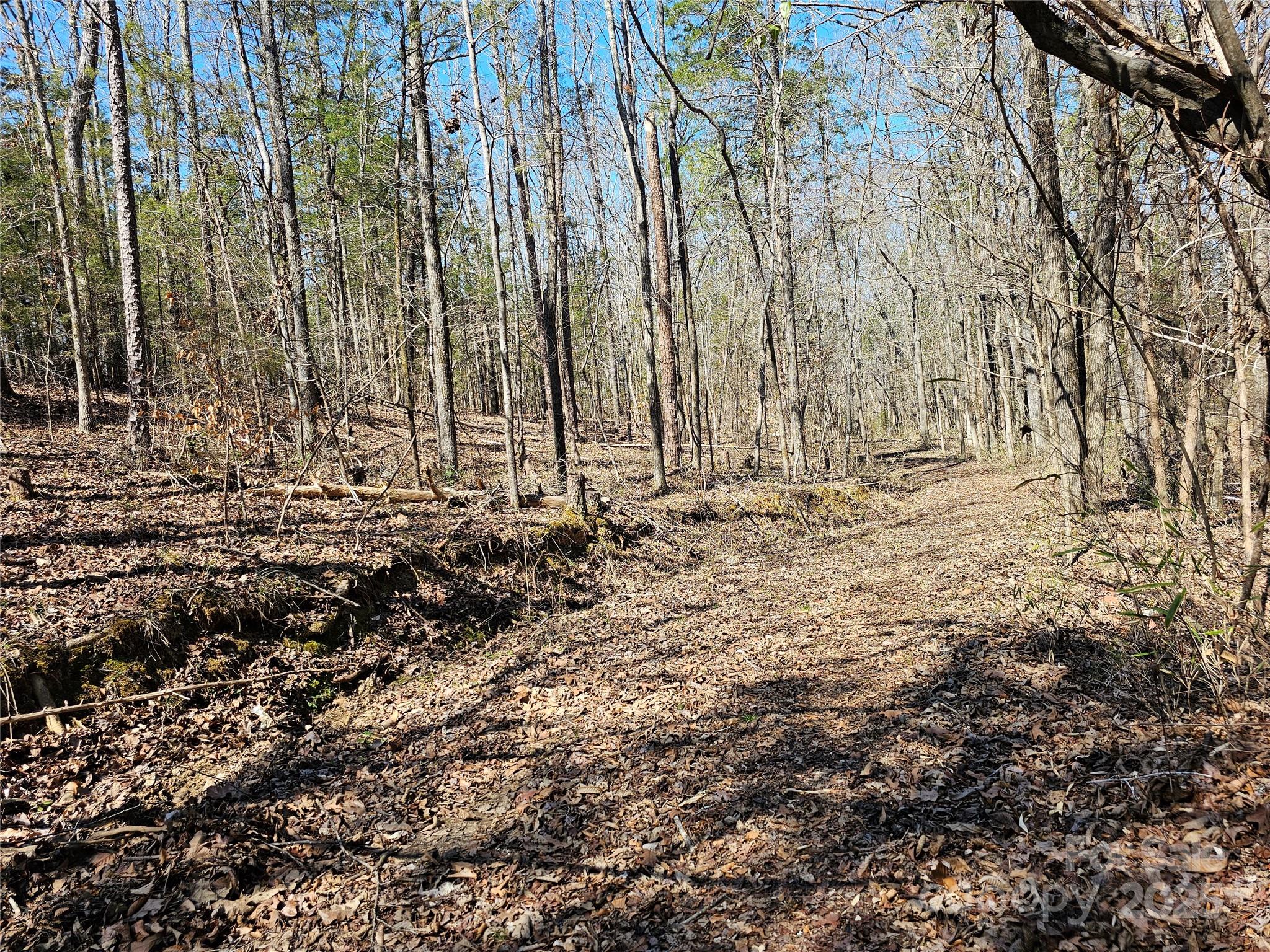 2247 Old Richburg Road Property Photo 25