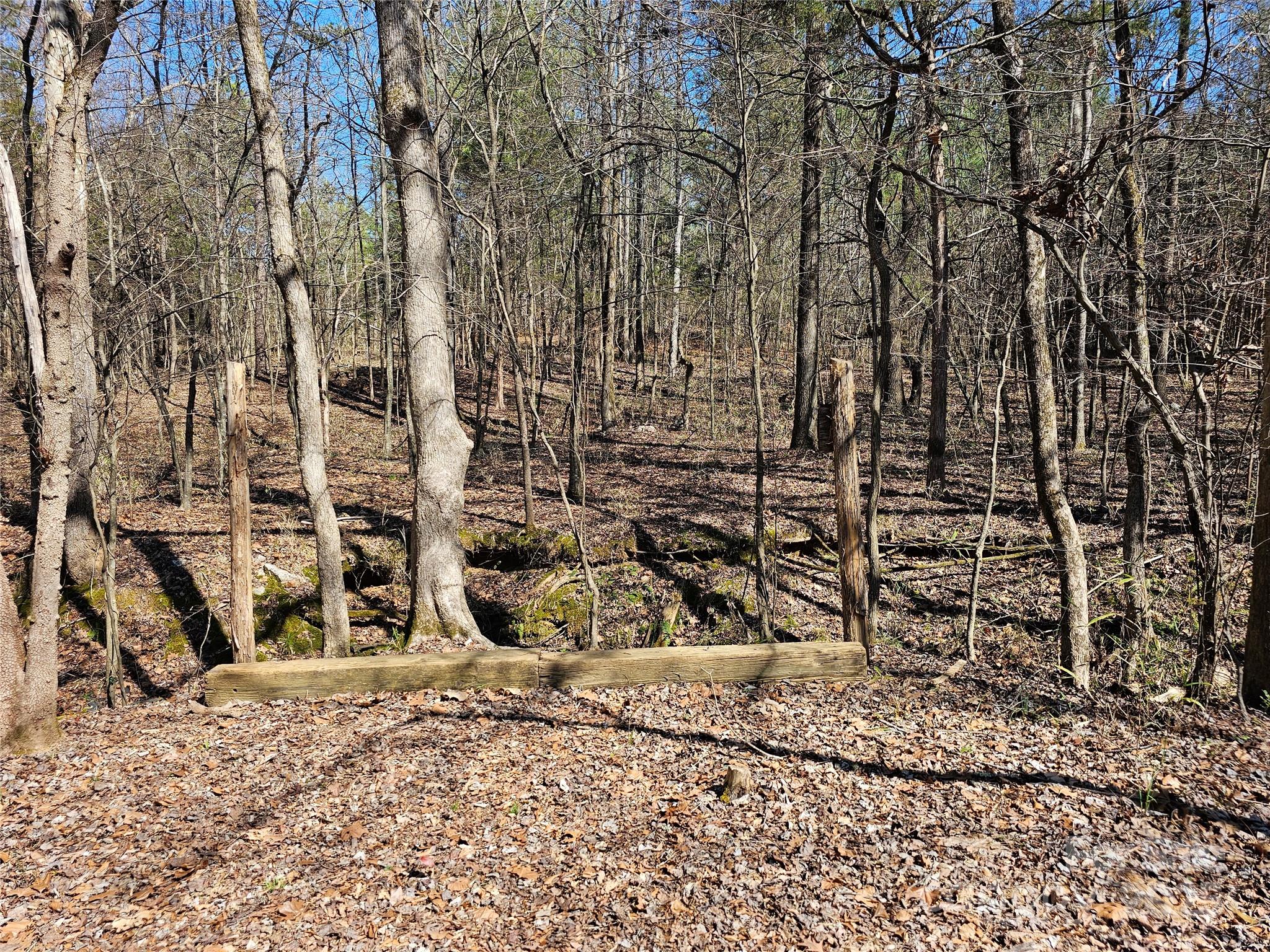 2247 Old Richburg Road Property Photo 29