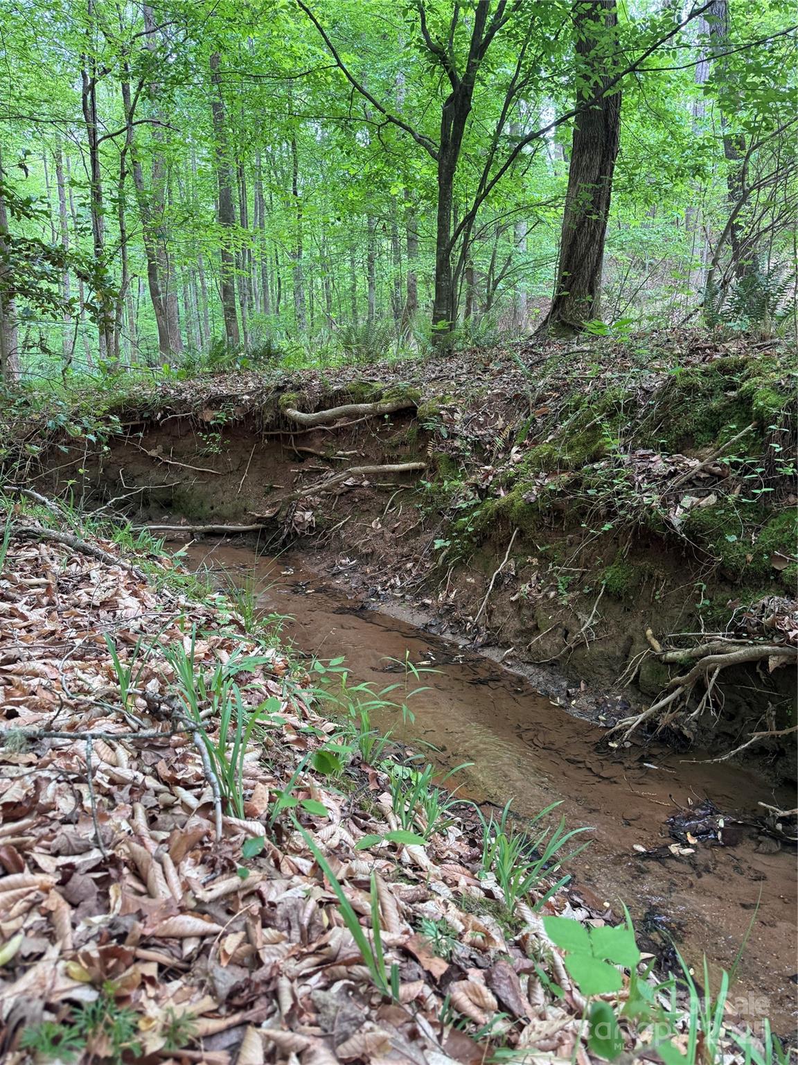 0 Desota Ridge 361 Property Photo 3