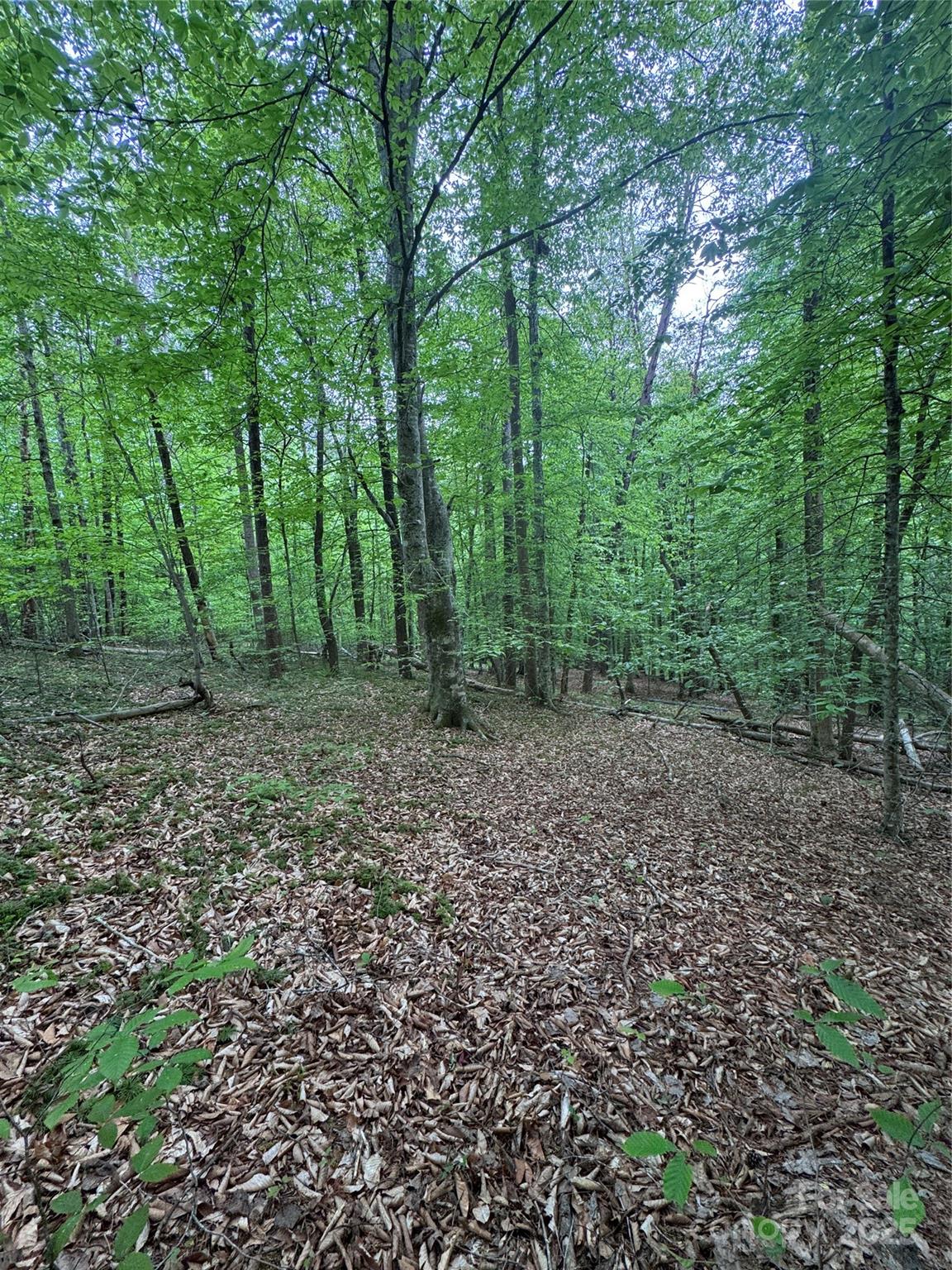 0 Desota Ridge 361 Property Photo 4