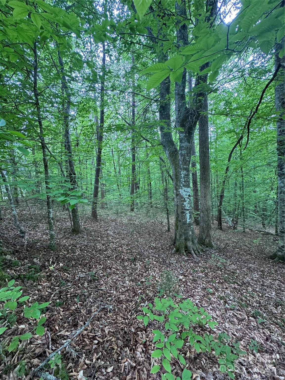 0 Desota Ridge 361 Property Photo 5