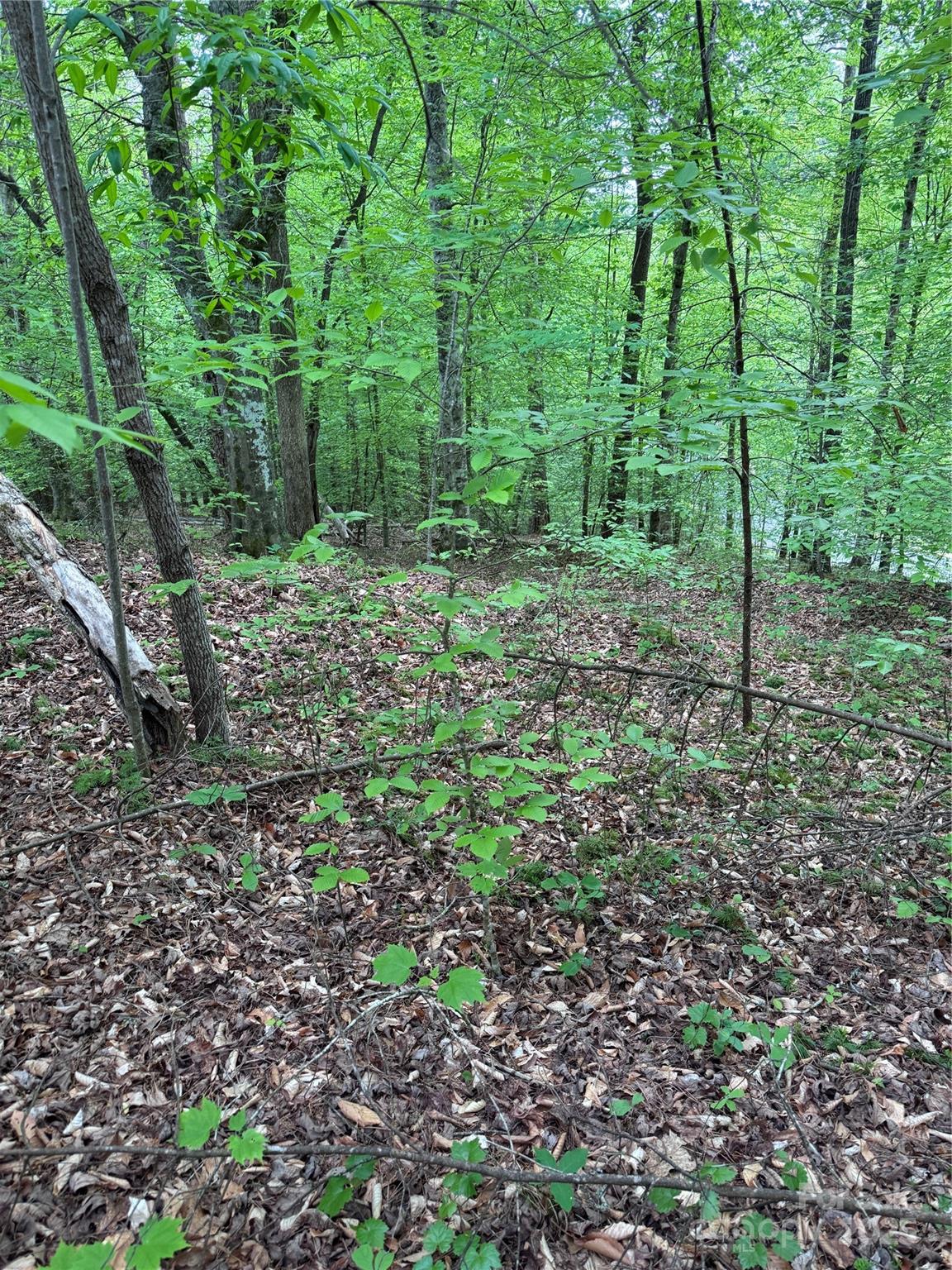 0 Desota Ridge 361 Property Photo 6