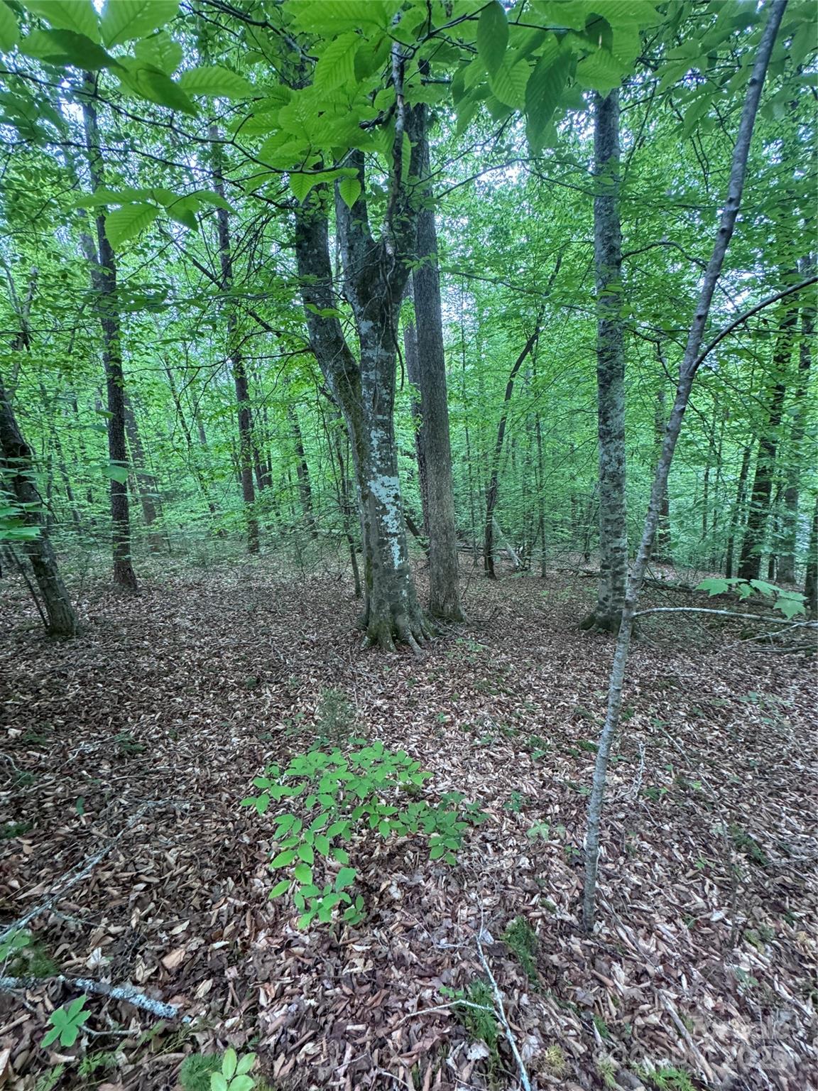 0 Desota Ridge 361 Property Photo 8