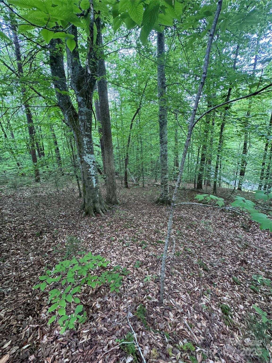 0 Desota Ridge 361 Property Photo 9