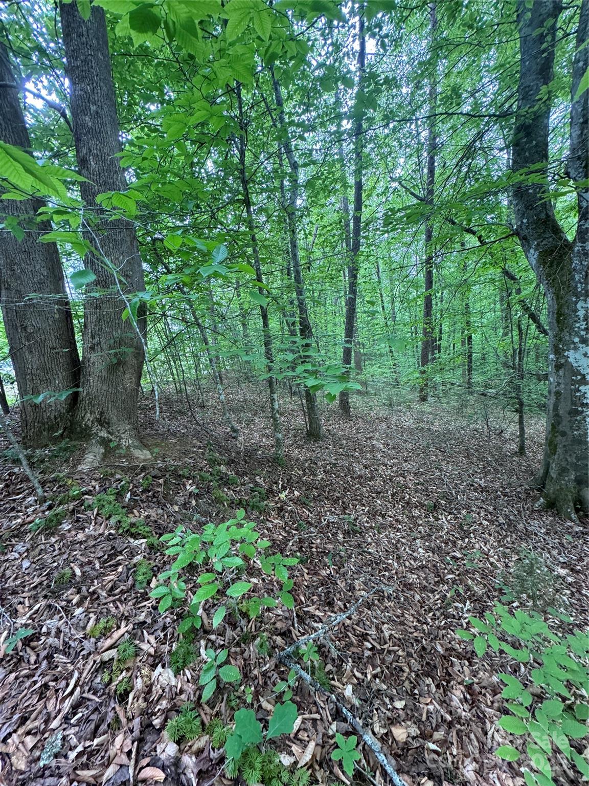 0 Desota Ridge 361 Property Photo 10