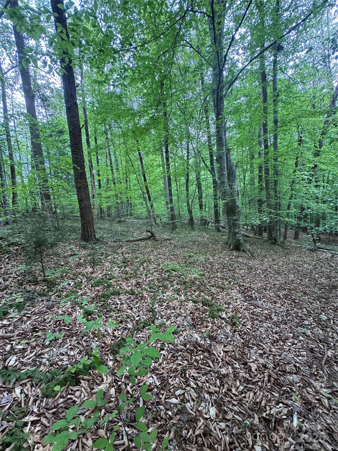 0 Desota Ridge 361 Property Photo 11
