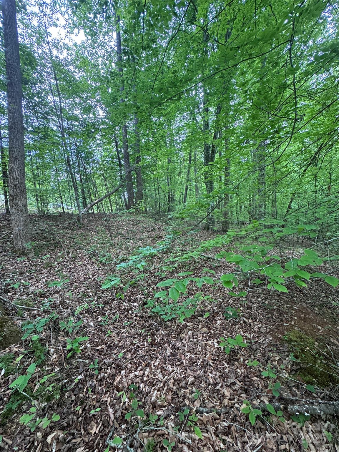 0 Desota Ridge 361 Property Photo 13