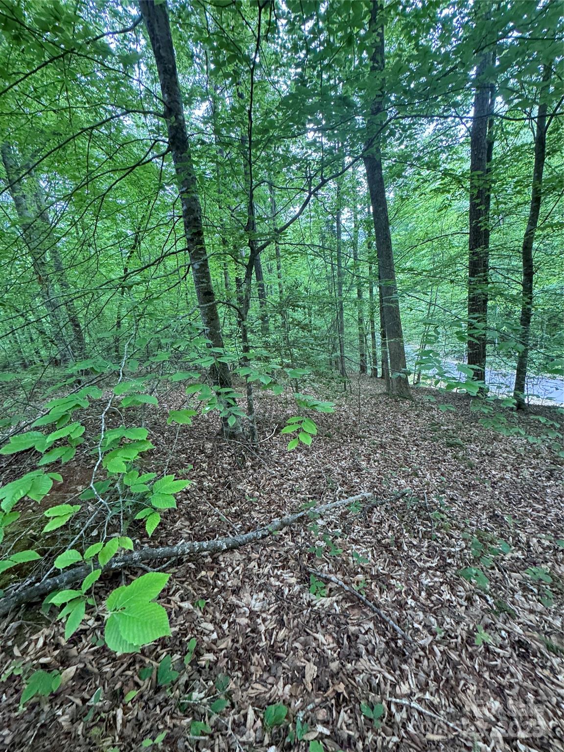 0 Desota Ridge 361 Property Photo 14