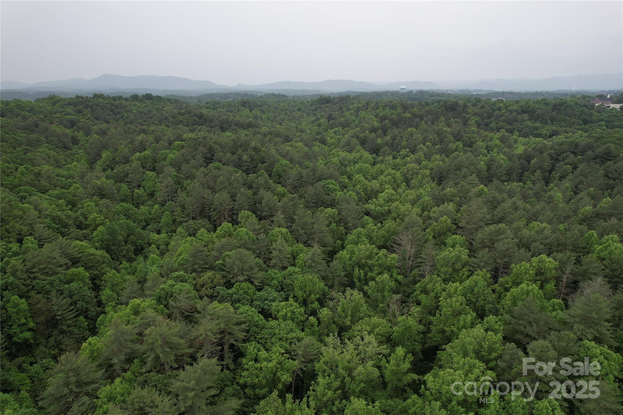 320 Kirksey Drive Property Photo 7