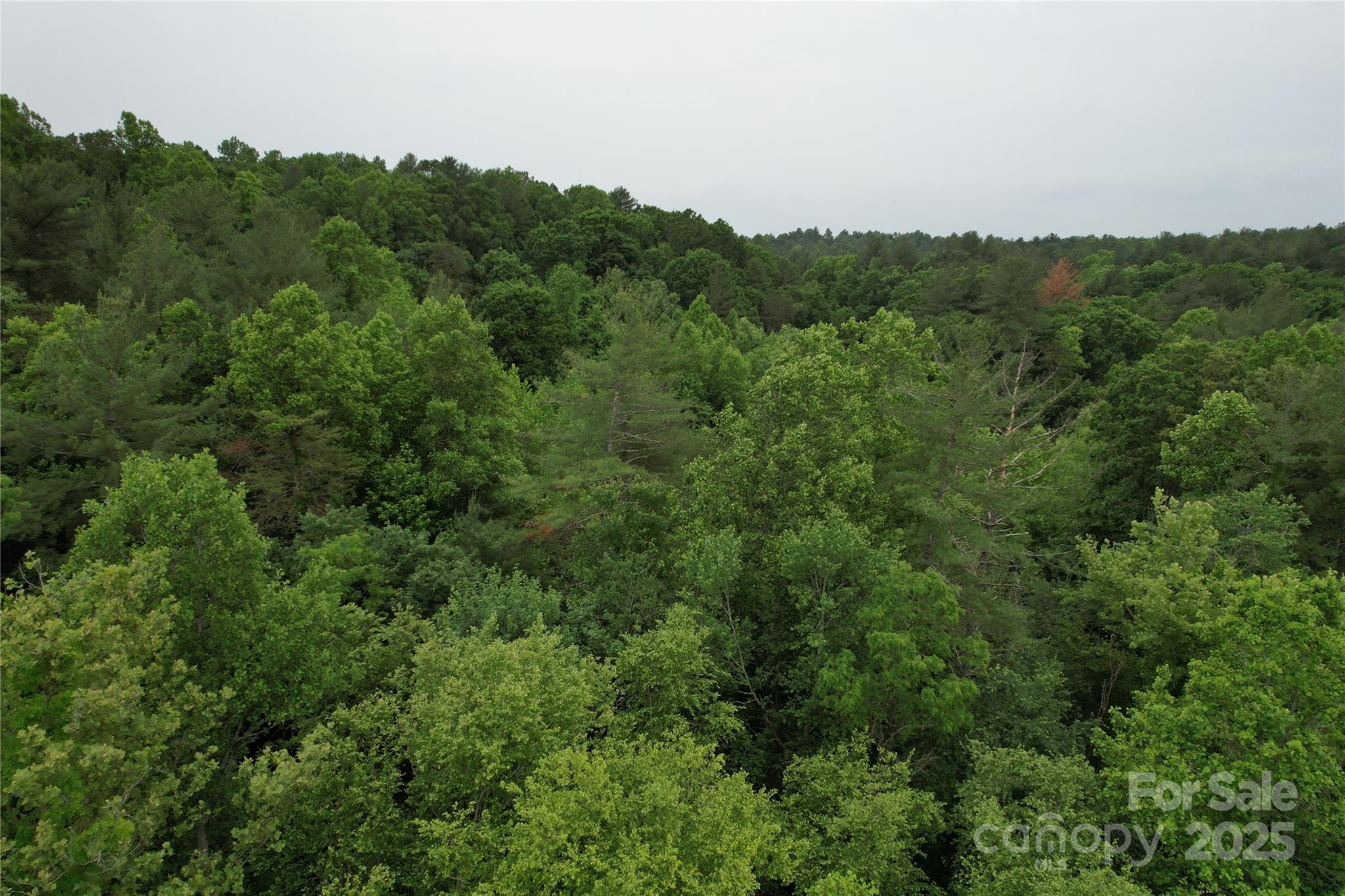 320 Kirksey Drive Property Photo 12
