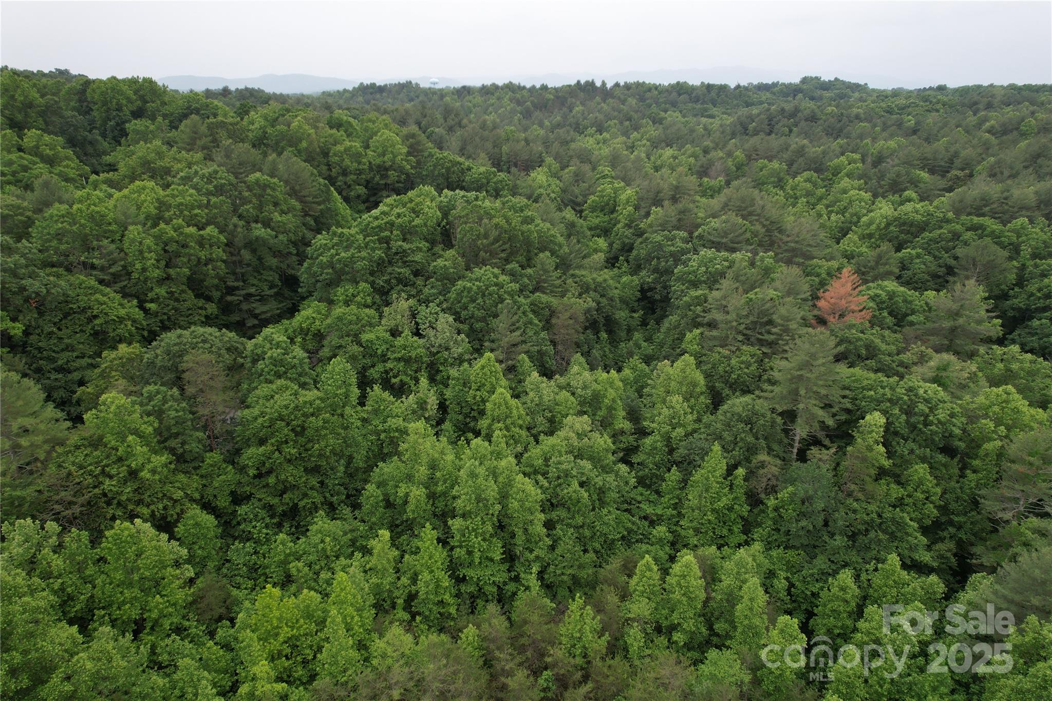 320 Kirksey Drive Property Photo 16