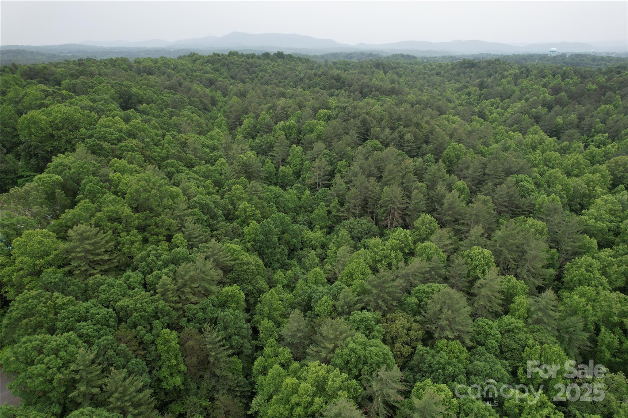 320 Kirksey Drive Property Photo 18