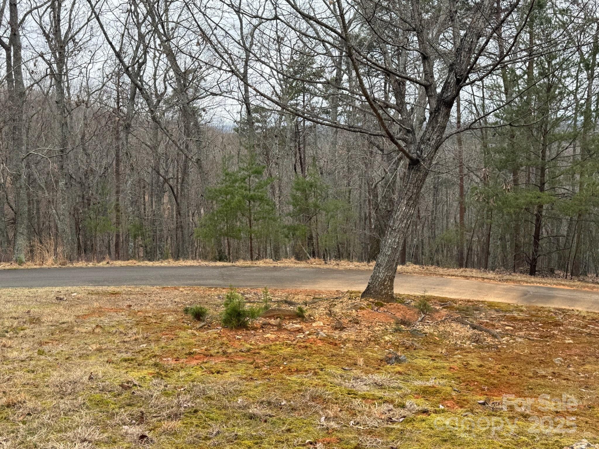 295 Cascading Creek Trail 10 Property Photo 1