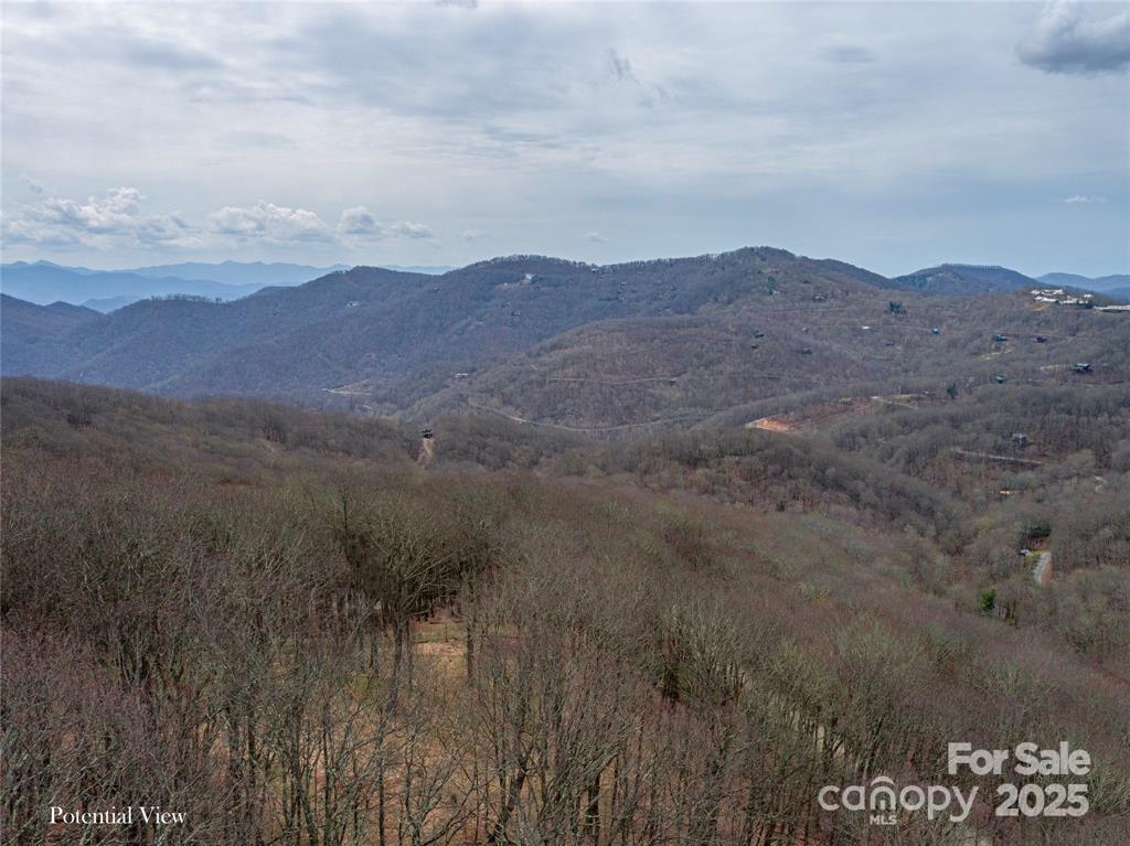 0 Grouse Thicket Lane Lot 262 Property Photo