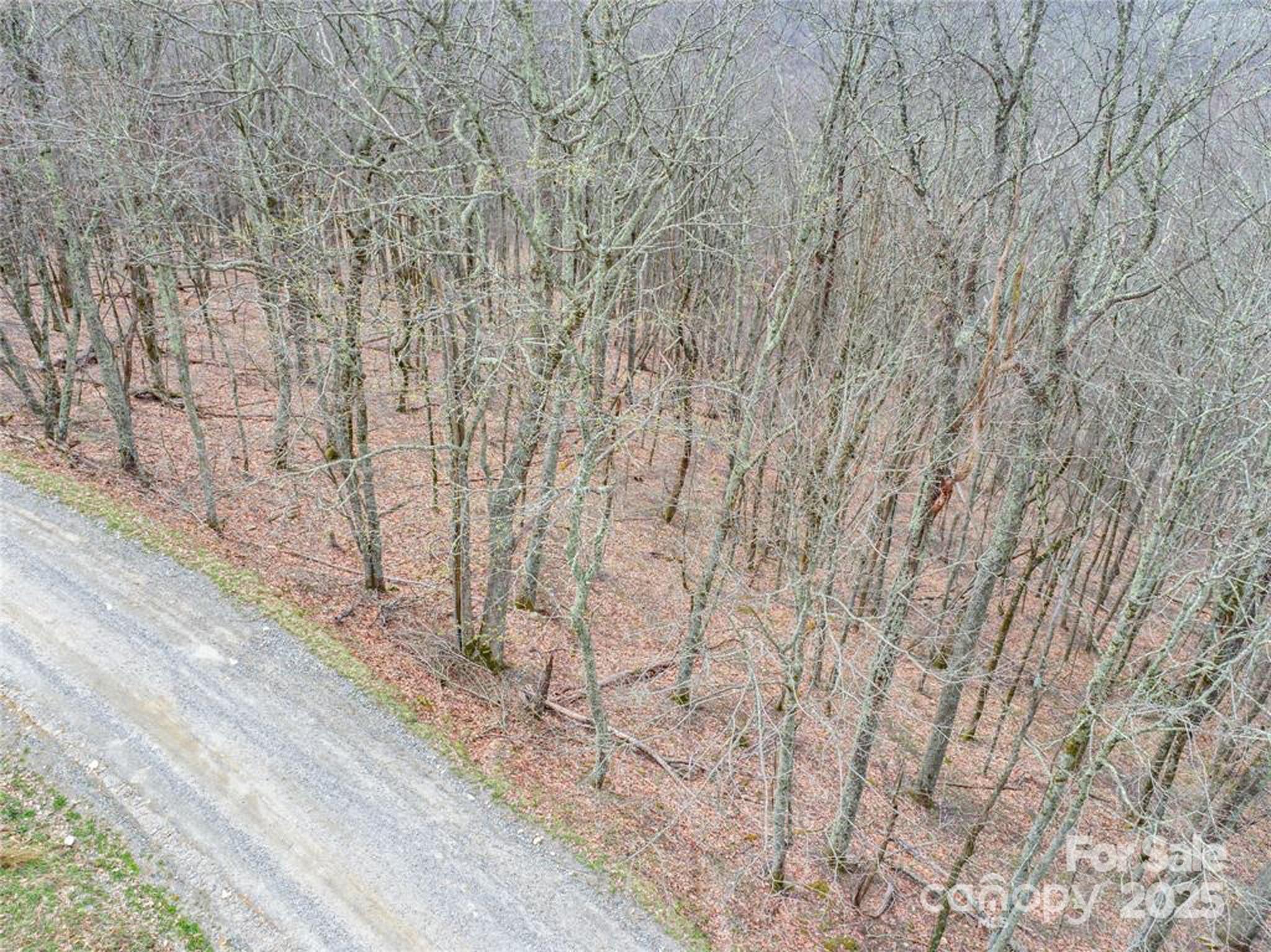 0 Grouse Thicket Lane Lot 262 Property Photo 3