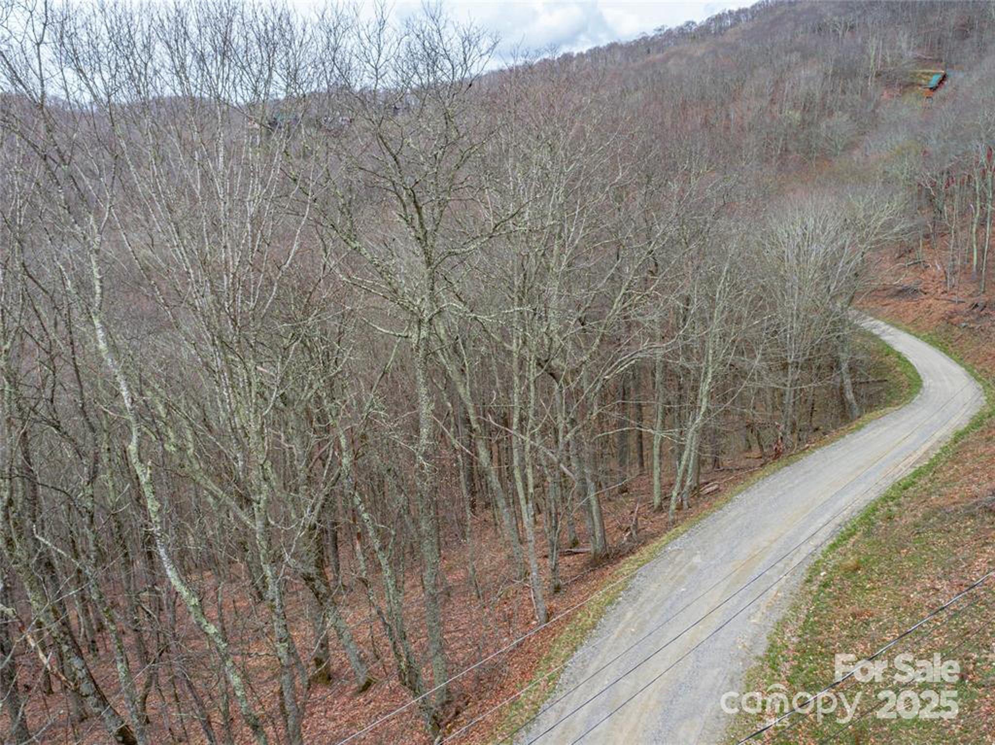 0 Grouse Thicket Lane Lot 262 Property Photo 4