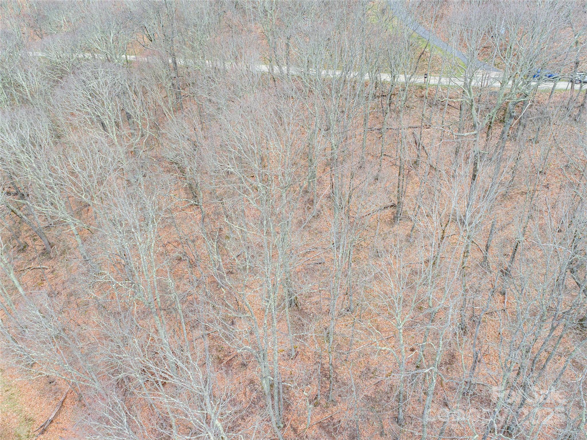 0 Grouse Thicket Lane Lot 262 Property Photo 5