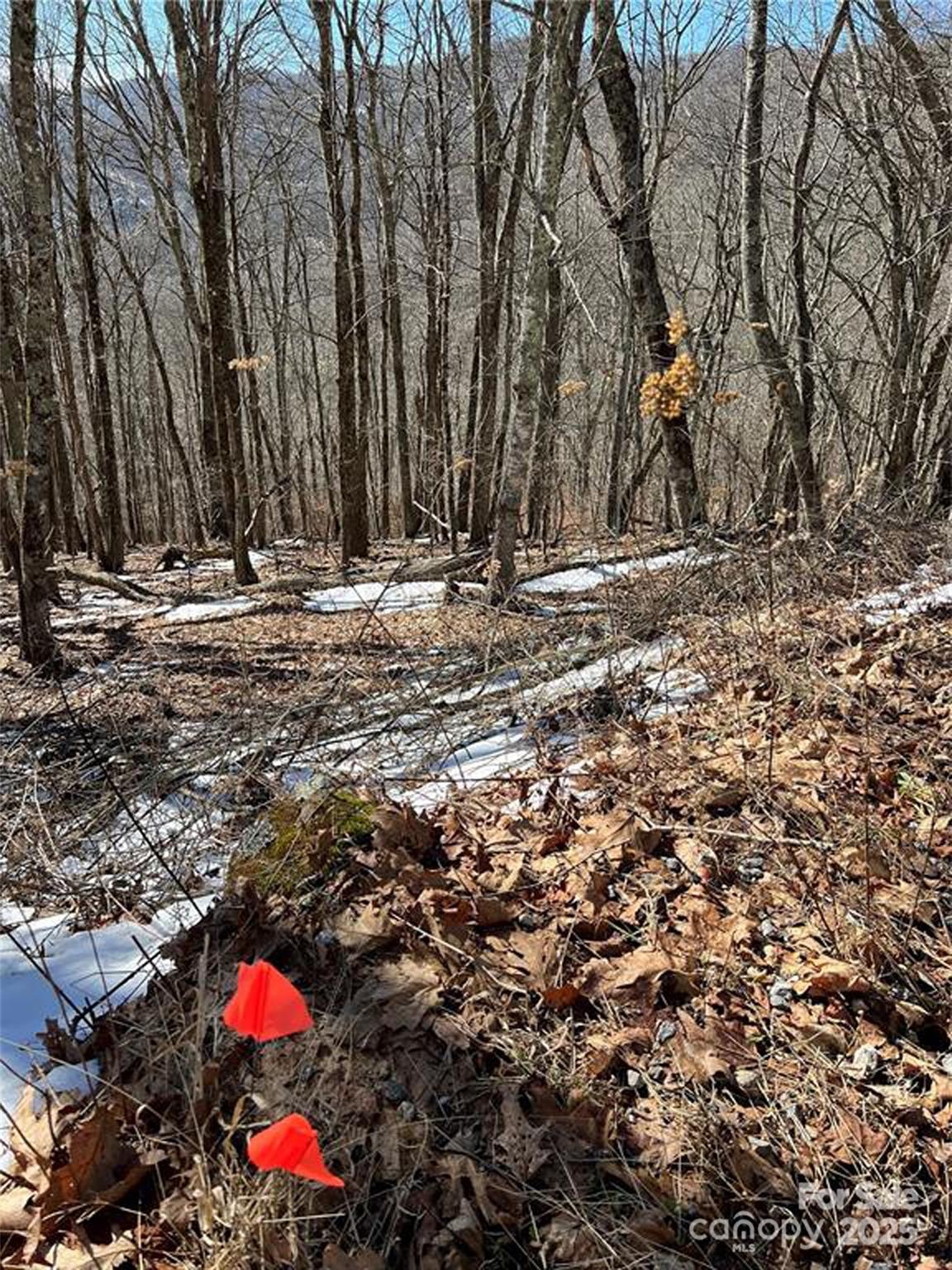 0 Grouse Thicket Lane Lot 262 Property Photo 6