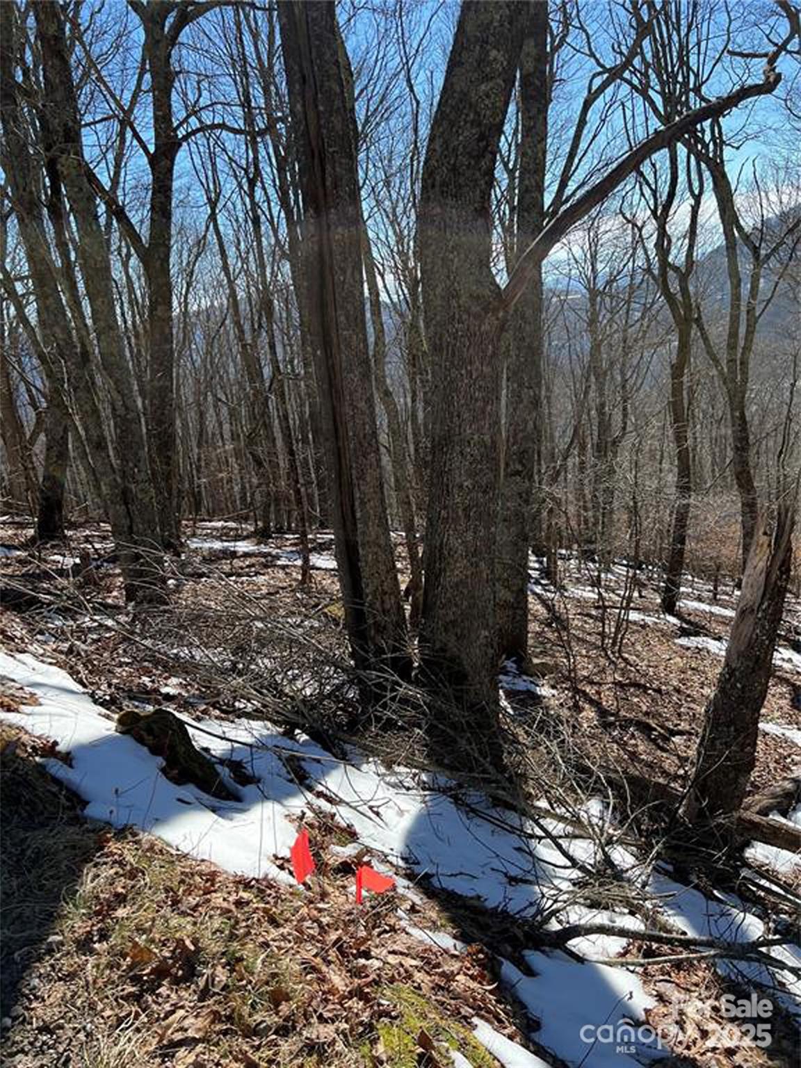 0 Grouse Thicket Lane Lot 262 Property Photo 8