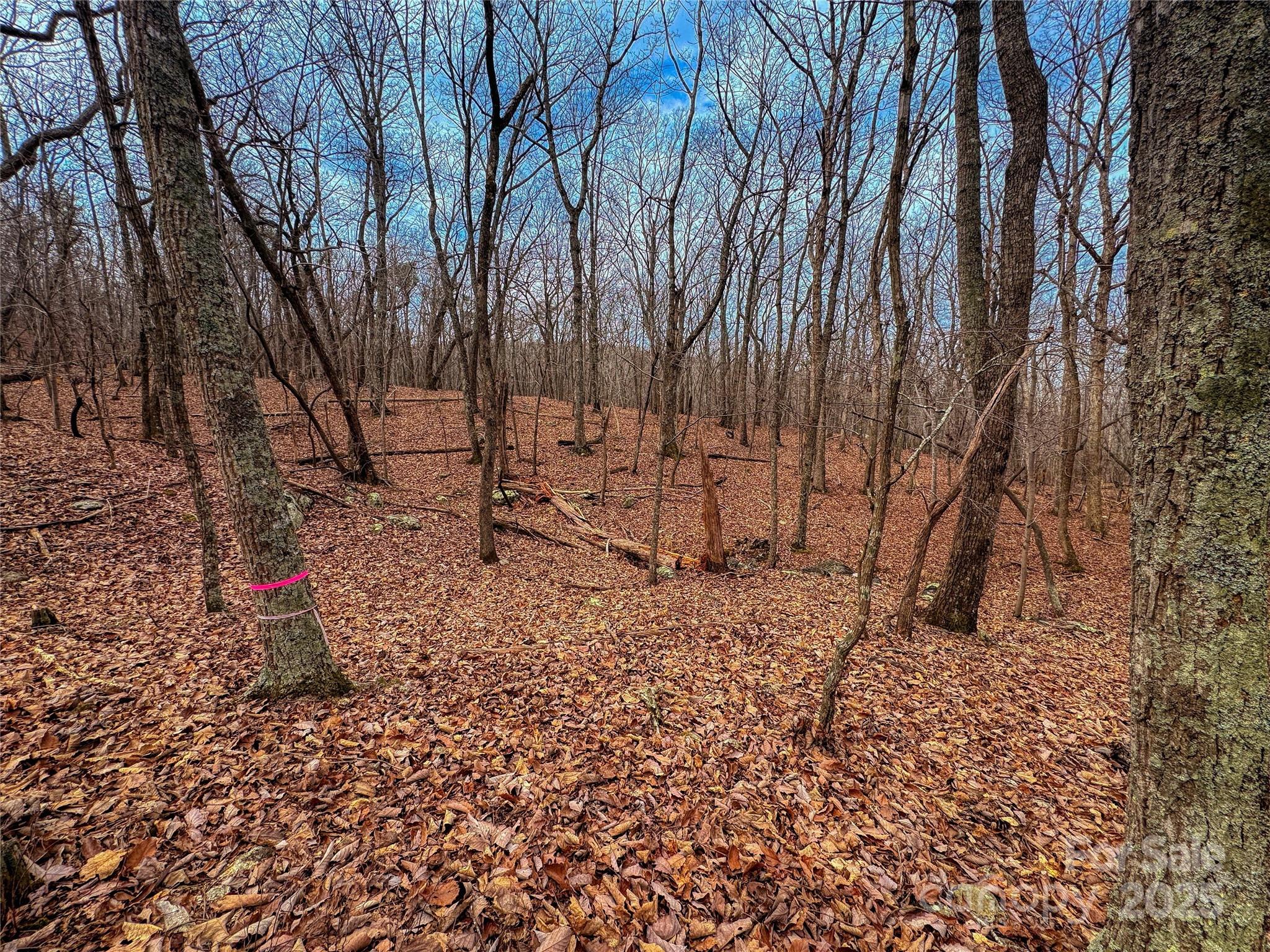 750 Palisade Trail Property Photo