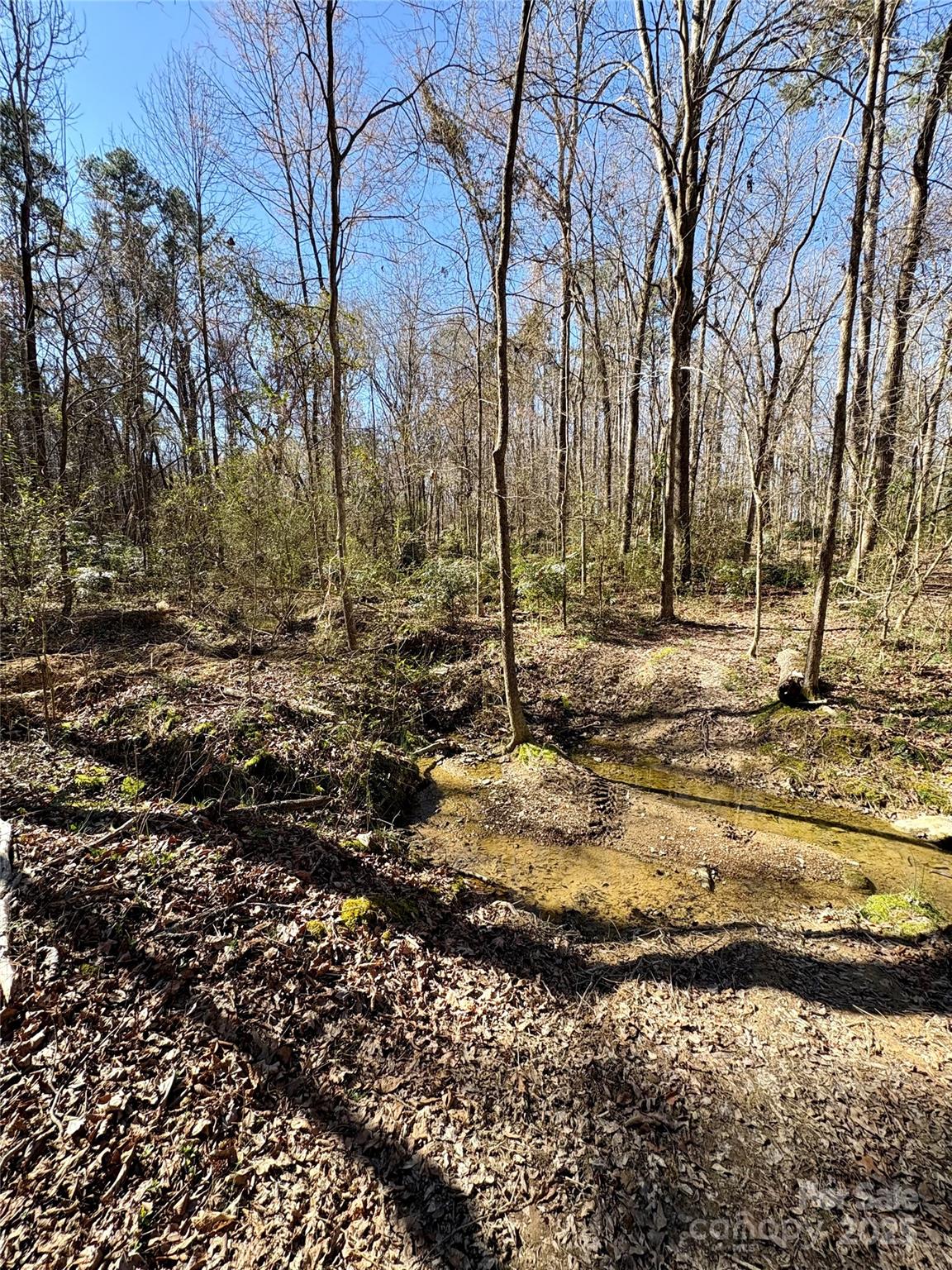 1417 Ellis Griffin Road Property Photo 4