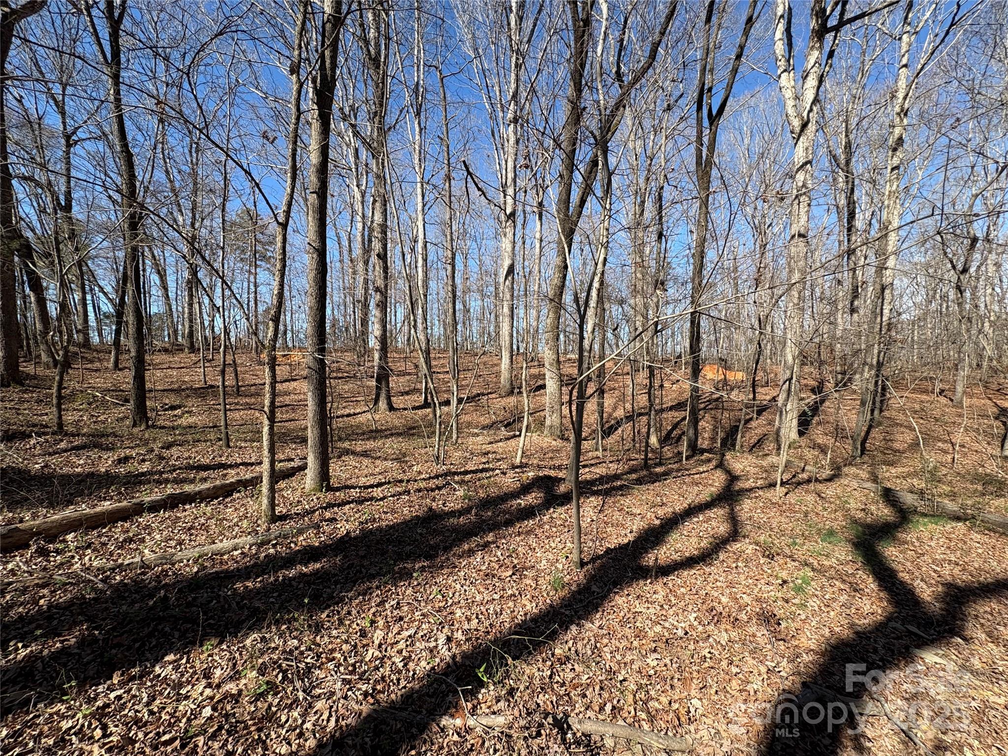 1417 Ellis Griffin Road Property Photo 10