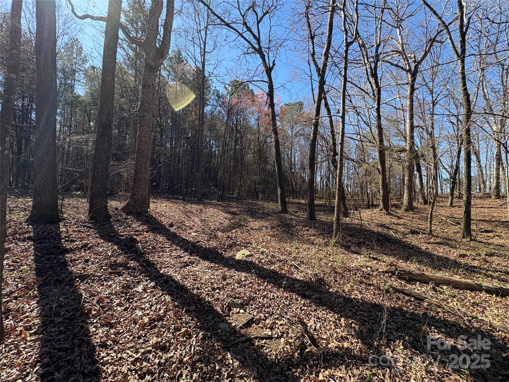 1417 Ellis Griffin Road Property Photo 11