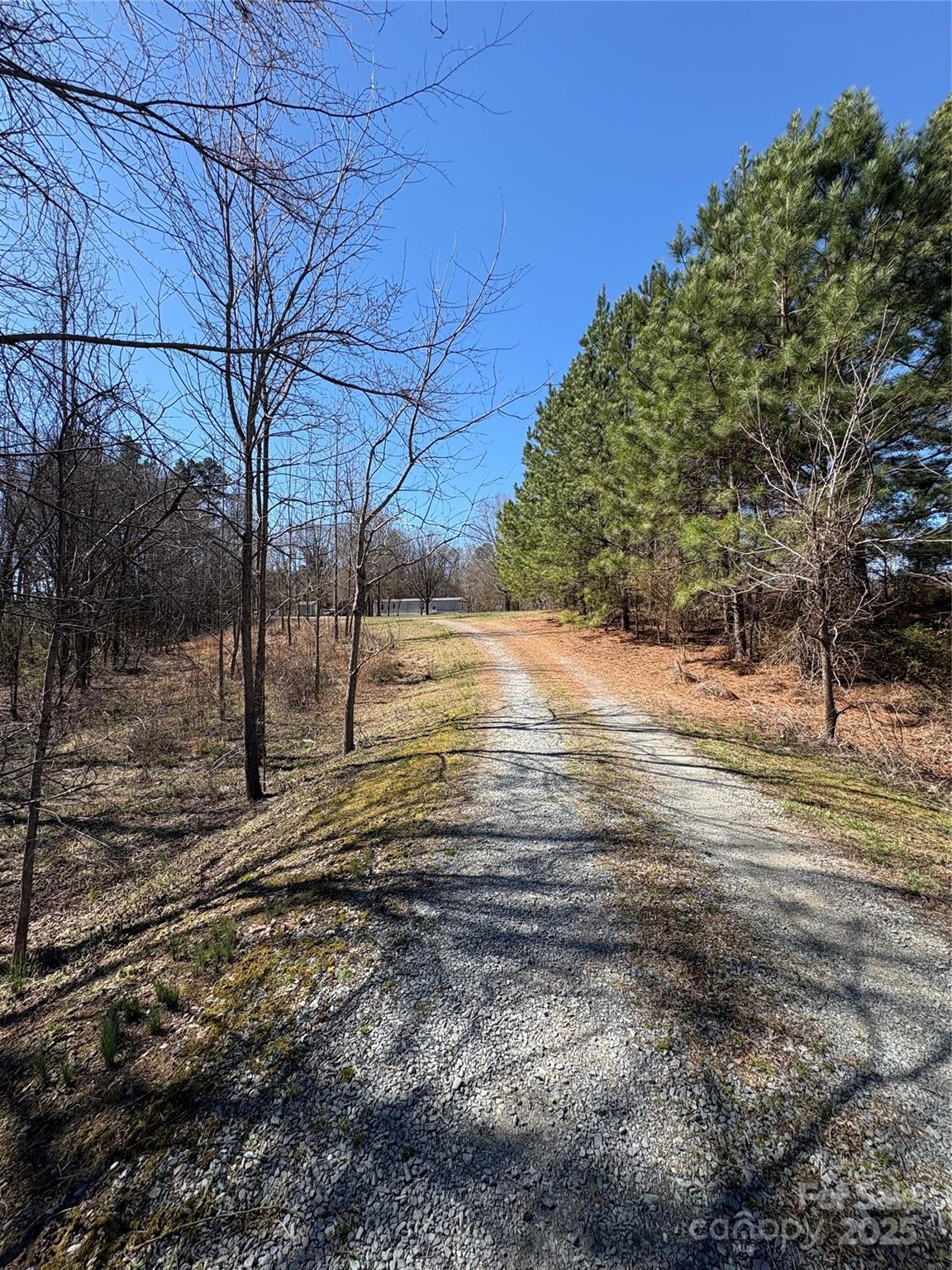 1417 Ellis Griffin Road Property Photo 15
