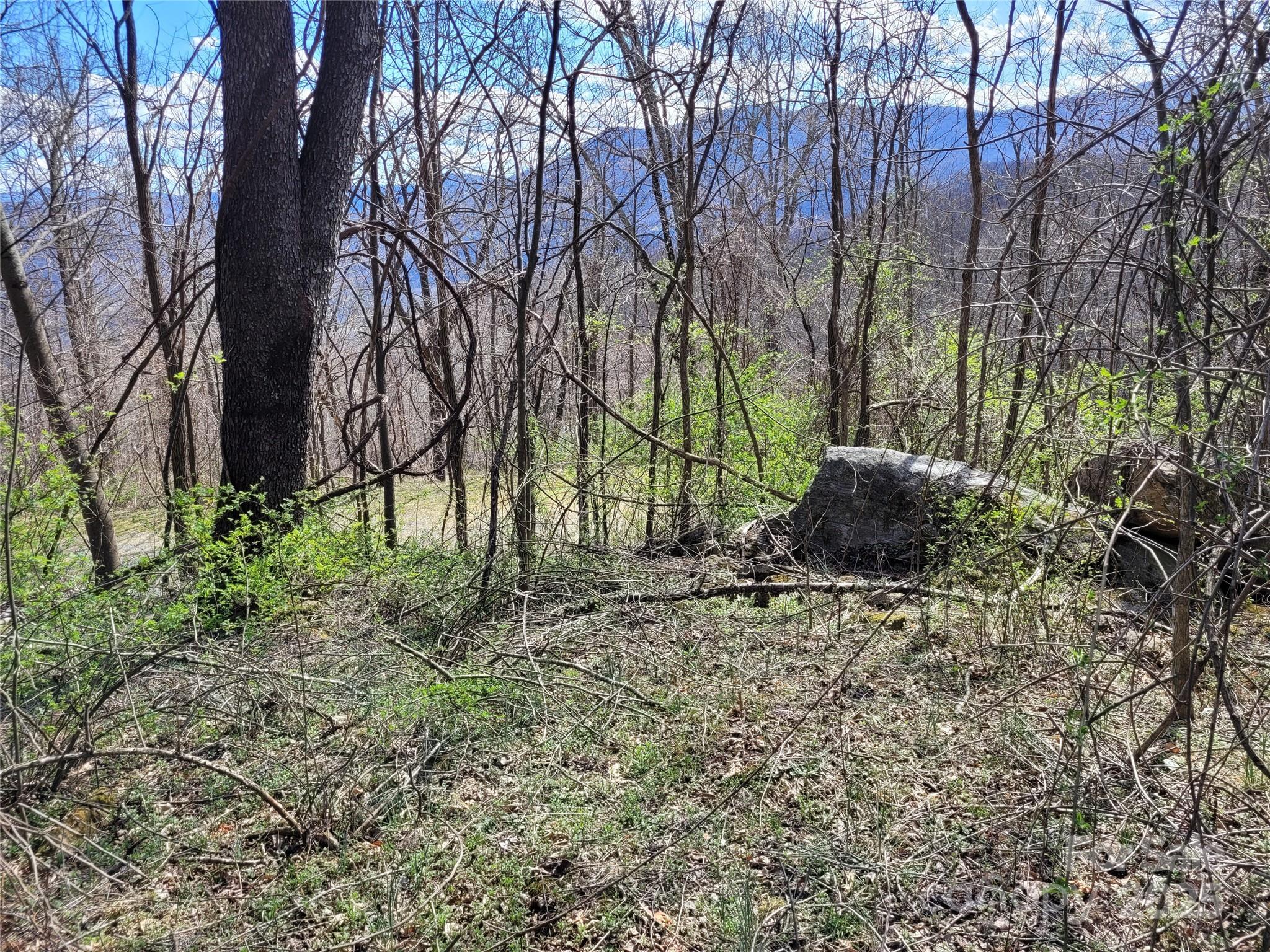 0 Purple Martin Lane 22 Property Photo 1