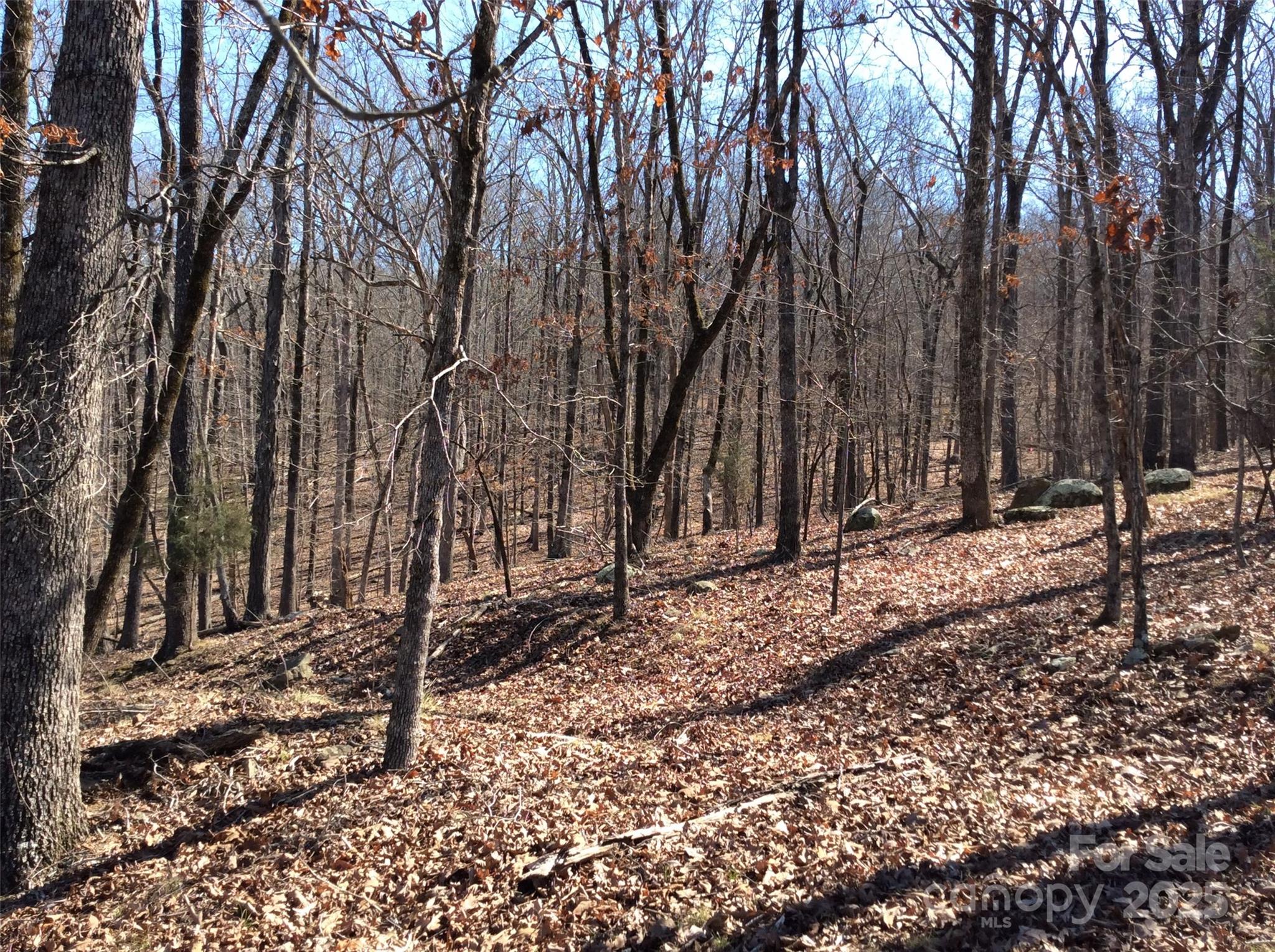 1355 Rocky Cove Lane Property Photo 4