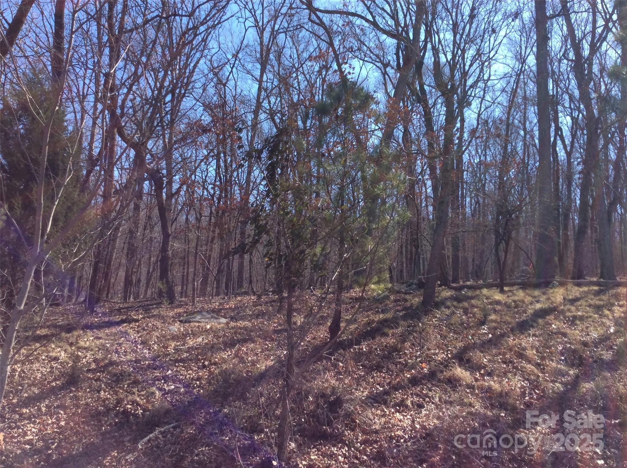 1355 Rocky Cove Lane Property Photo 5