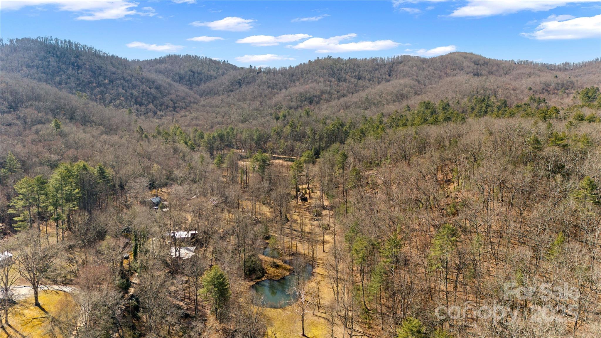 361 Rooster Cove Property Photo 11