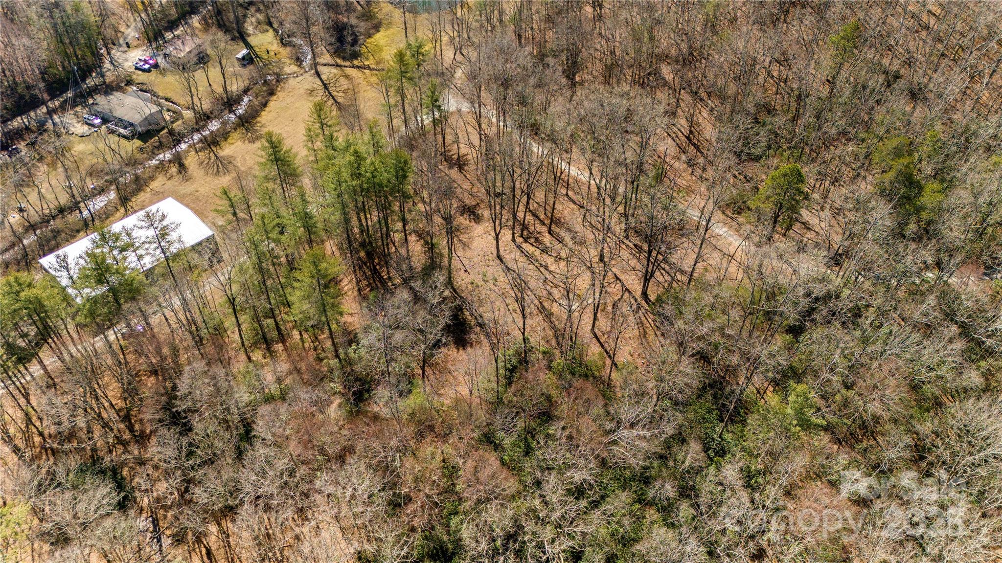 361 Rooster Cove Property Photo 12