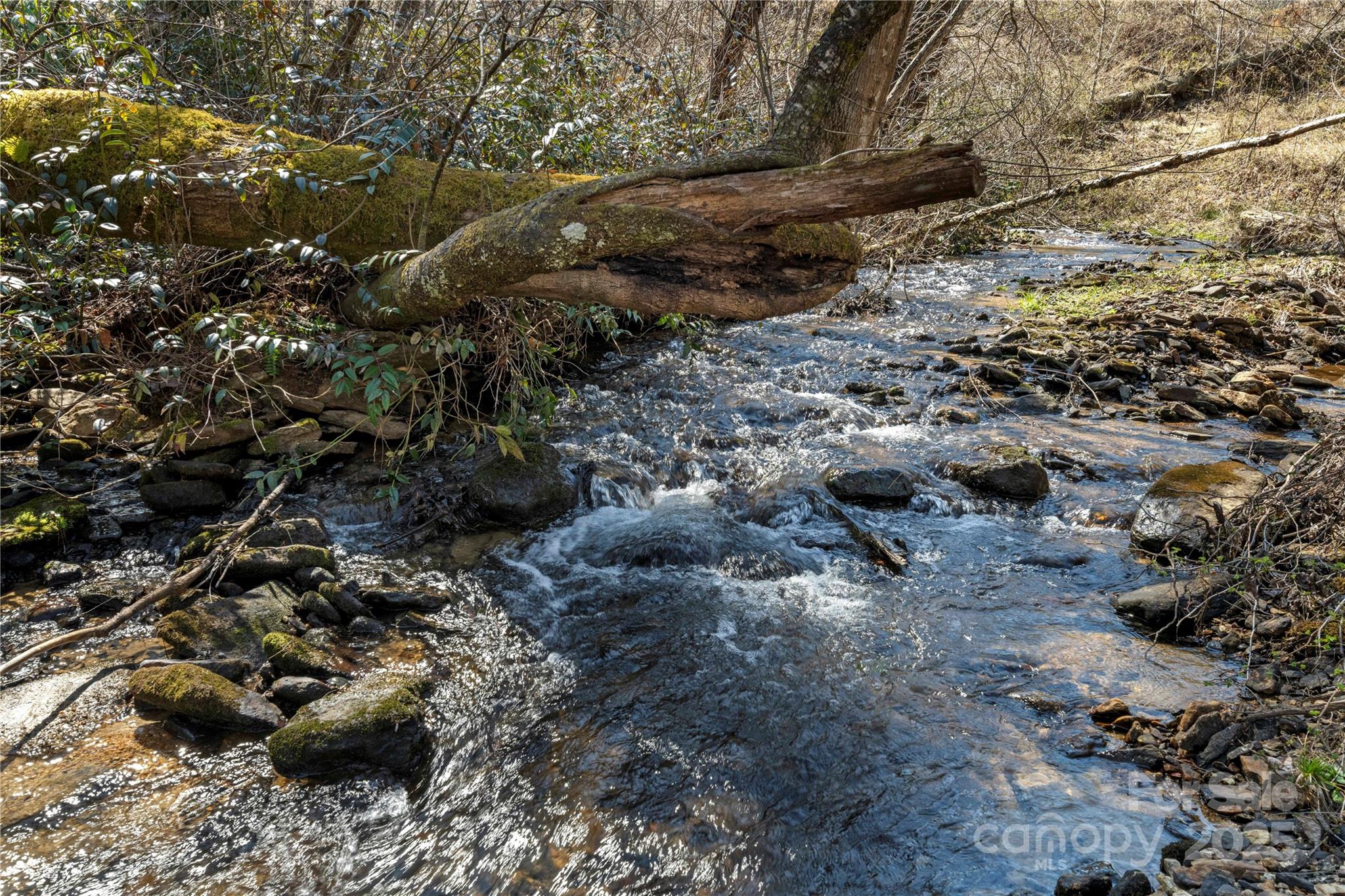361 Rooster Cove Property Photo 13