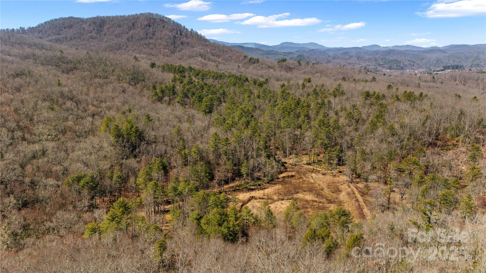 361 Rooster Cove Property Photo 14