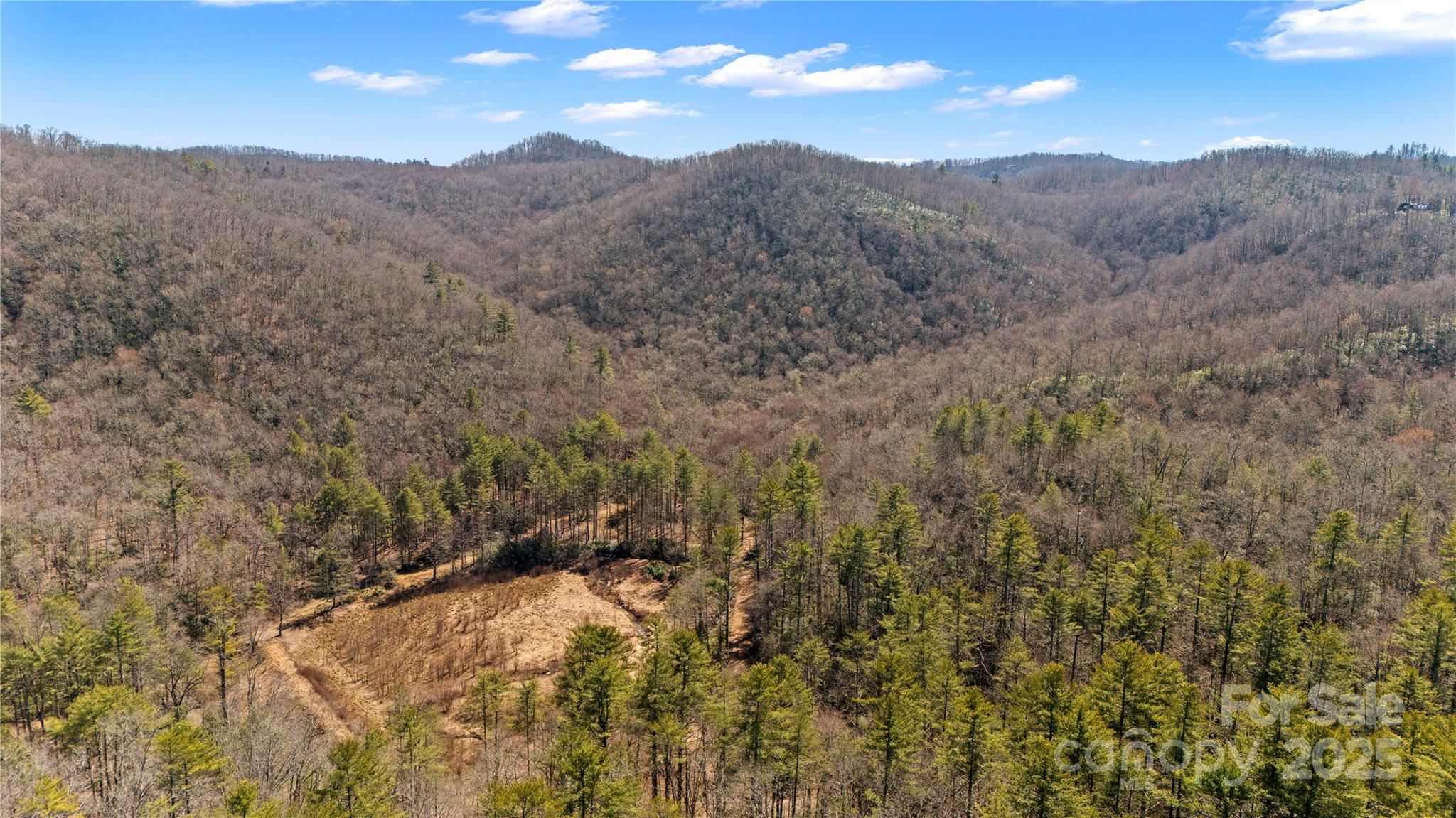 361 Rooster Cove Property Photo 19