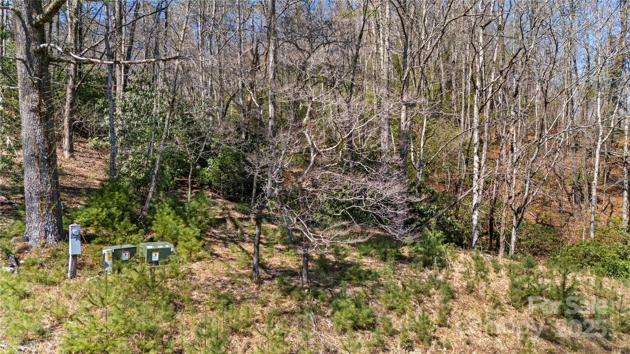 361 Rooster Cove Property Photo 21