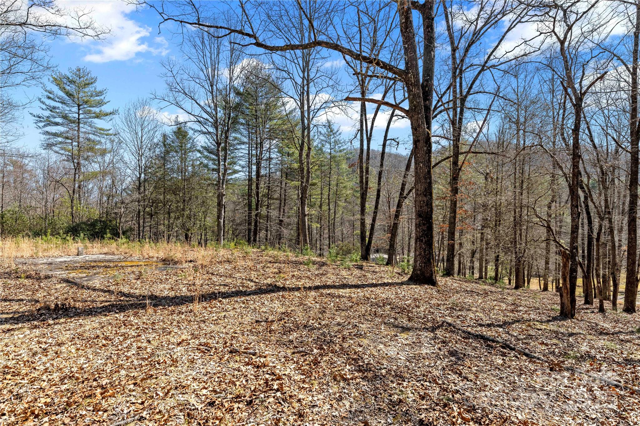361 Rooster Cove Property Photo 28