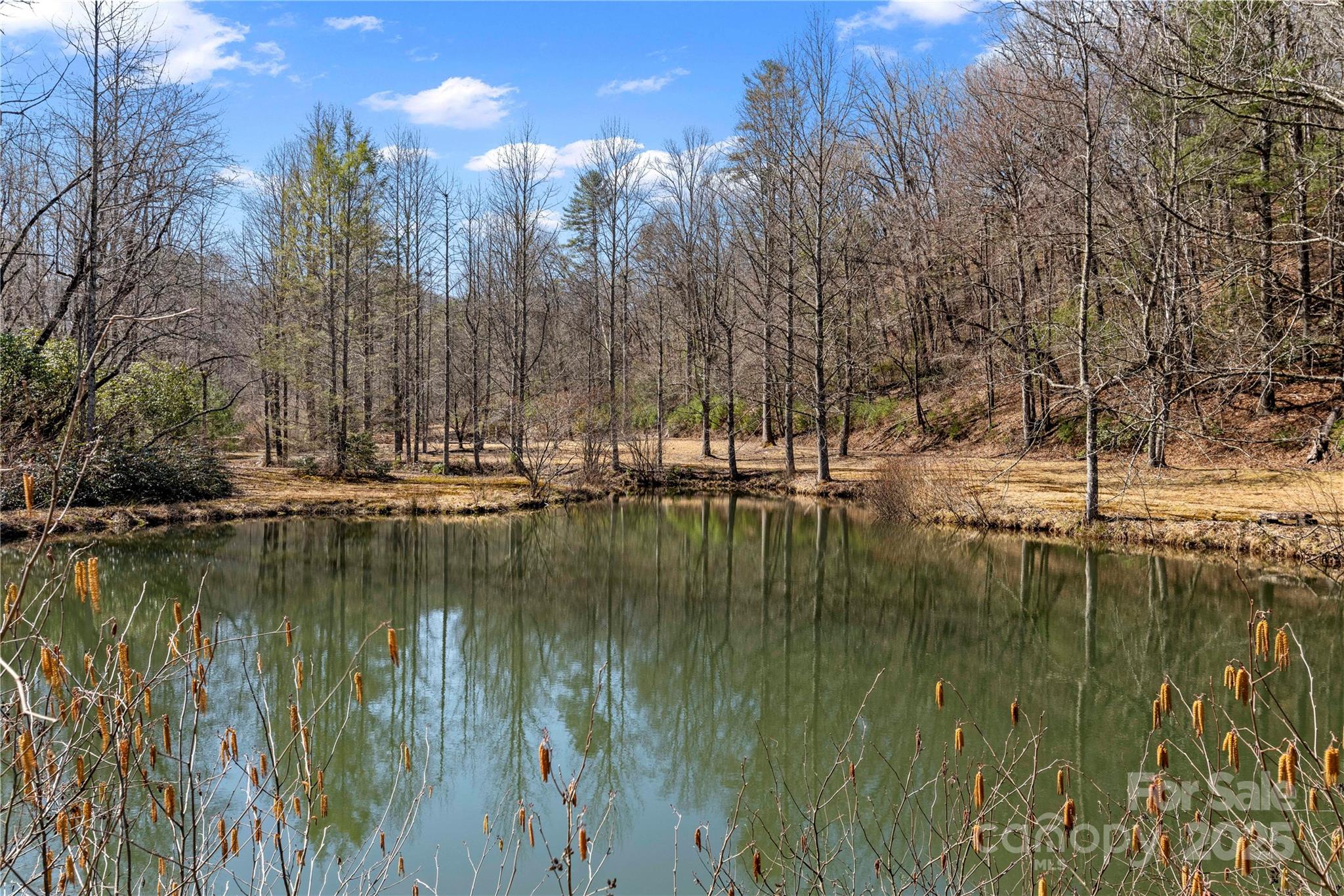 361 Rooster Cove Property Photo 29