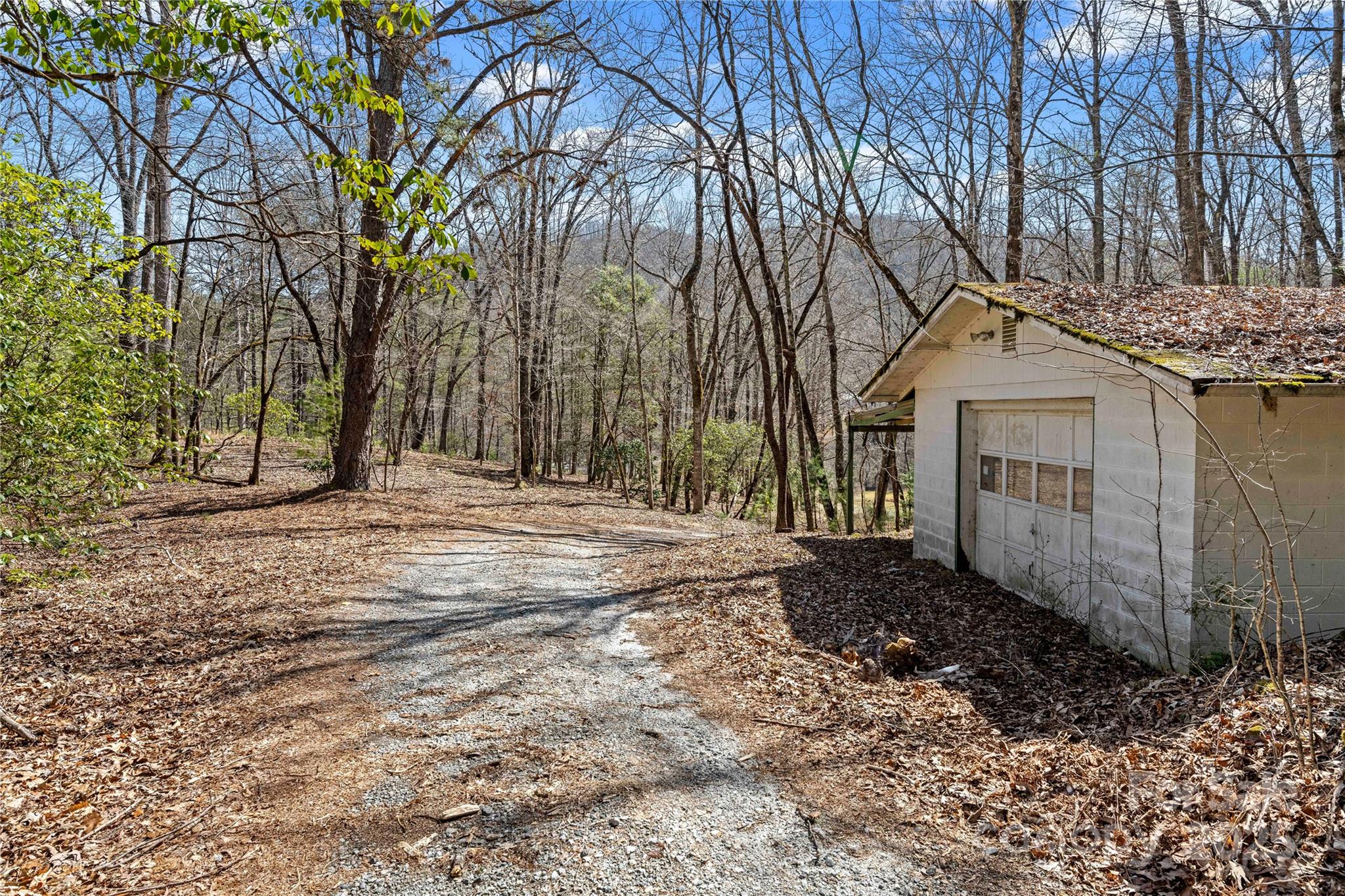 361 Rooster Cove Property Photo 30