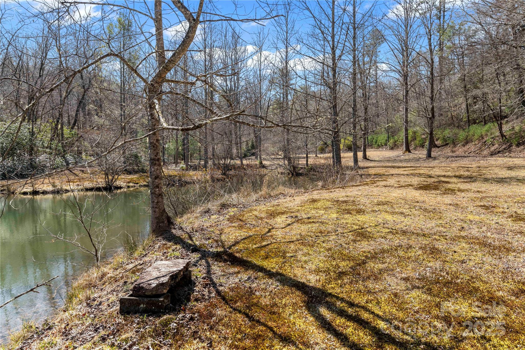 361 Rooster Cove Property Photo 32