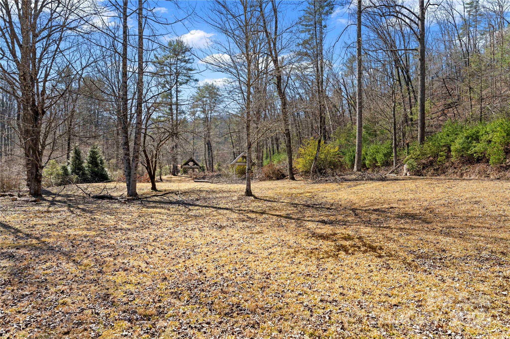 361 Rooster Cove Property Photo 34