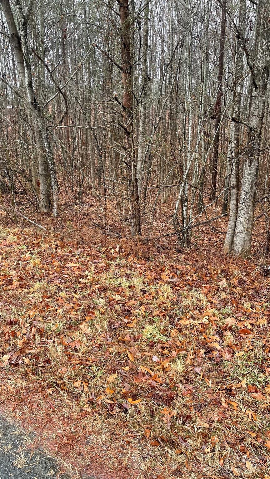 352 Fisher Farm Road Property Photo 3
