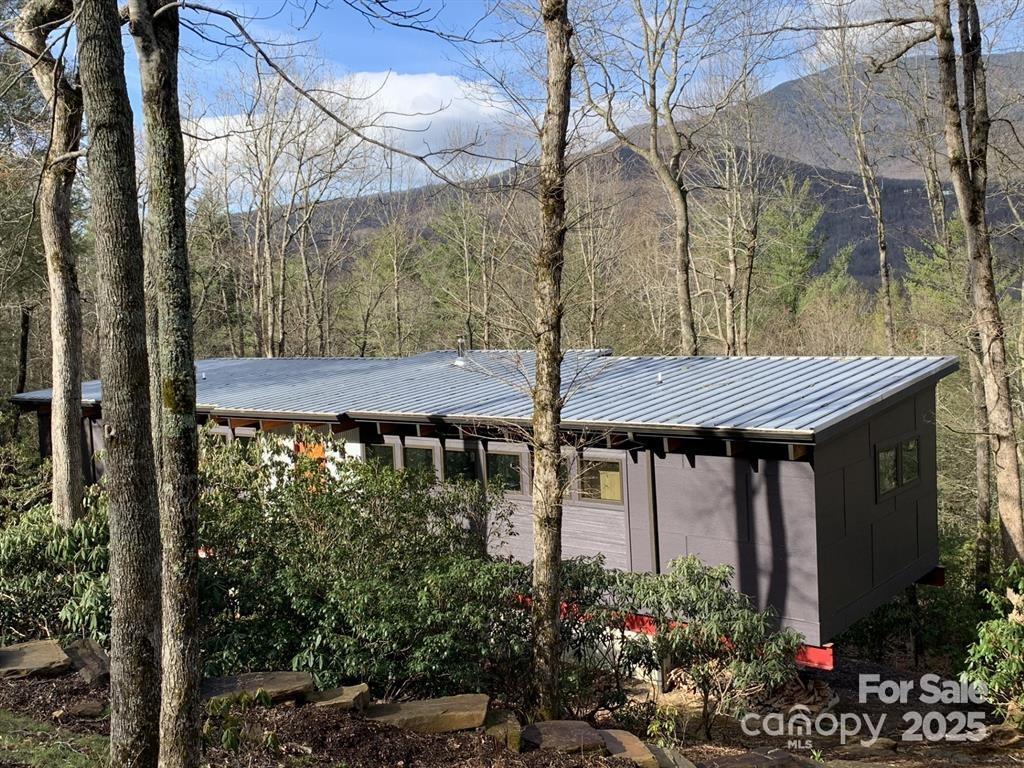 448 Mt. Mitchell Drive Property Photo 2