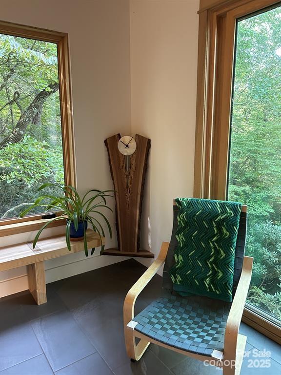 448 Mt. Mitchell Drive Property Photo 20