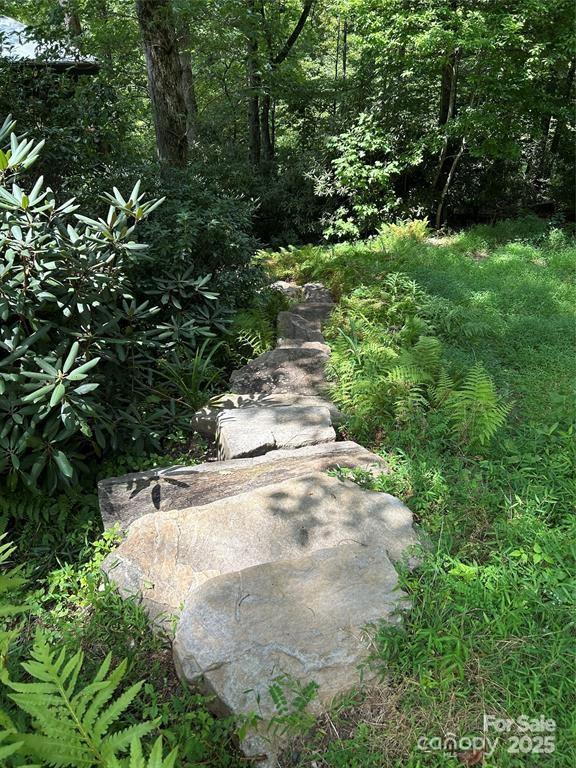 448 Mt. Mitchell Drive Property Photo 32