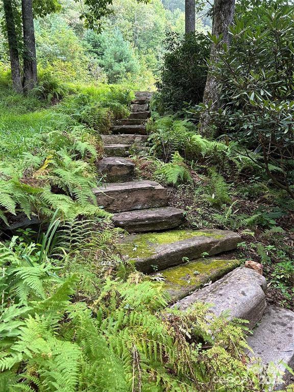 448 Mt. Mitchell Drive Property Photo 33