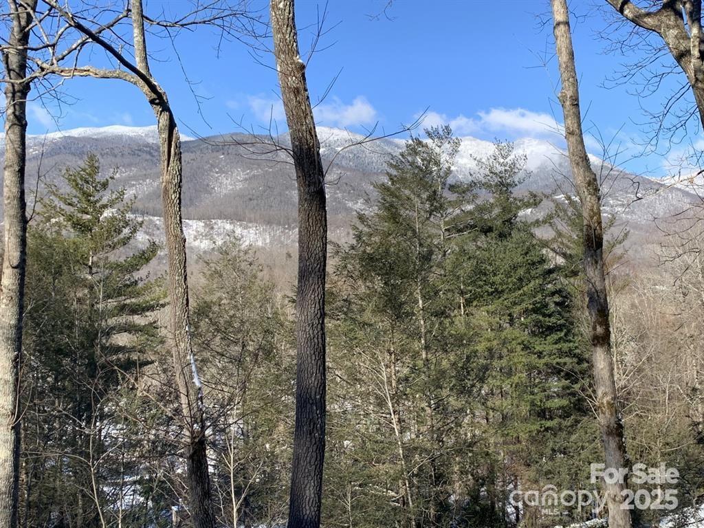 448 Mt. Mitchell Drive Property Photo 35